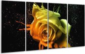 GroepArt - Glasschilderij - Roos - Oranje, Geel, Groen - 160x80cm 4Luik - Foto Op Glas - Geen Acrylglas Schilderij - 6000+ Glasschilderijen Collectie - Wanddecoratie