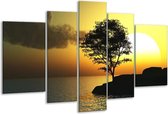 Glasschilderij Zonsondergang - Zwart, Geel, Grijs - 170x100cm 5Luik - Foto Op Glas - Geen Acrylglas Schilderij - 6000+ Glasschilderijen Collectie - Wanddecoratie