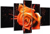 Glasschilderij Roos - Oranje, Zwart - 170x100cm 5Luik - Foto Op Glas - Geen Acrylglas Schilderij - 6000+ Glasschilderijen Collectie - Wanddecoratie