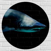 Muursticker Cirkel - Gevaarlijke Haai Zwemmend door Donkere Zee - 80x80 cm Foto op Muursticker