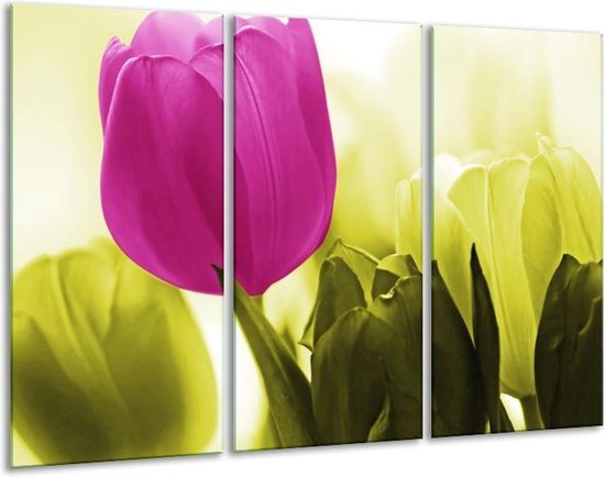 Glasschilderij Tulp - Roze, Groen, Wit - 120x80cm 3Luik - Foto Op Glas - Geen Acrylglas Schilderij - GroepArt 6000+ Glas Art Collectie - Maatwerk Mogelijk
