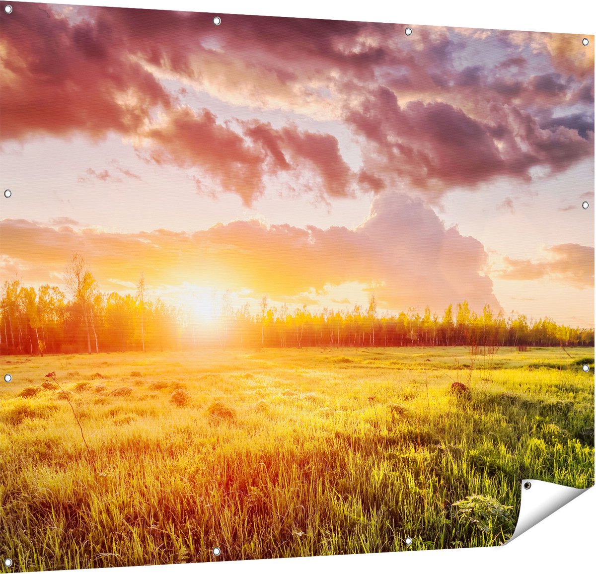 Gards Tuinposter Zonsopkomst in het Veld - 150x120 cm - Tuindoek - Tuindecoratie - Wanddecoratie buiten - Tuinschilderij Multikleur