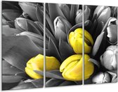 Glasschilderij Orchidee - Grijs, Geel, Zwart - 120x80cm 3Luik - Foto Op Glas - Geen Acrylglas Schilderij - GroepArt 6000+ Glas Art Collectie - Maatwerk Mogelijk