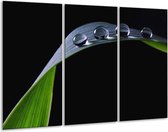 Glasschilderij Druppels - Zwart, Groen, Grijs - 120x80cm 3Luik - Foto Op Glas - Geen Acrylglas Schilderij - GroepArt 6000+ Glas Art Collectie - Maatwerk Mogelijk