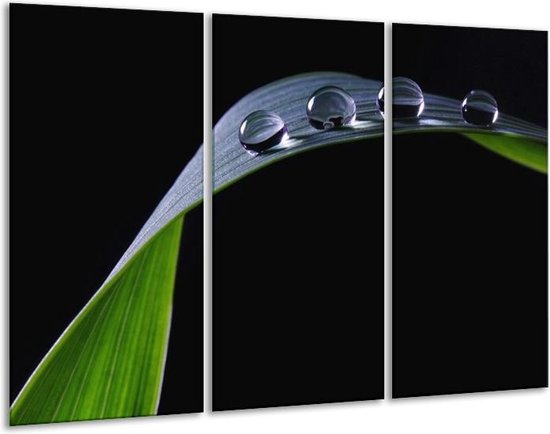 Glasschilderij Druppels | Zwart, Groen, Grijs |
