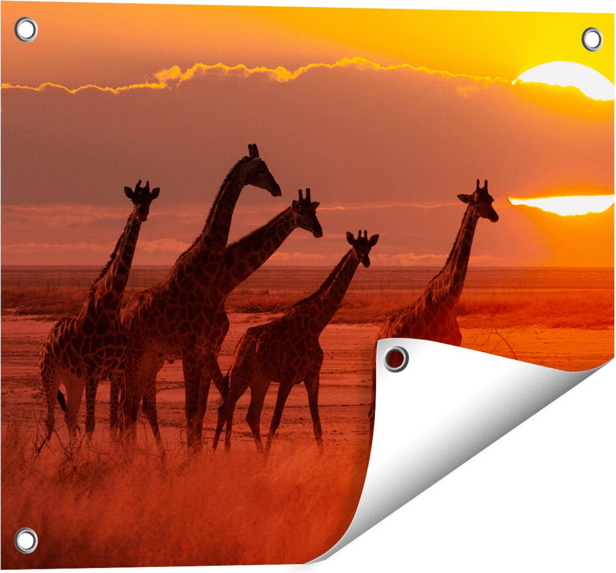 Gards Tuinposter Giraffe Kudde bij Zonsondergang - 50x40 cm - Tuindoek - Tuindecoratie - Wanddecoratie buiten - Tuinschilderij Multikleur