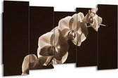 GroepArt - Canvas Schilderij - Orchidee - Sepia, Bruin - 150x80cm 5Luik- Groot Collectie Schilderijen Op Canvas En Wanddecoraties