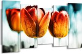 Peinture sur toile Tulipe | Orange, rouge, bleu | 150x80cm 5Liège