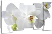 GroepArt - Canvas Schilderij - Orchidee - Wit, Groen - 150x80cm 5Luik- Groot Collectie Schilderijen Op Canvas En Wanddecoraties