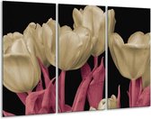 GroepArt - Schilderij -  Tulpen - Wit, Zwart, Roze - 120x80cm 3Luik - 6000+ Schilderijen 0p Canvas Art Collectie