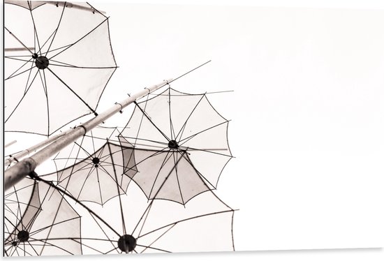 Dibond - Doorzichtige Paraplu Vormen tegen Witte Achtergrond - 105x70 cm Foto op Aluminium (Met Ophangsysteem)