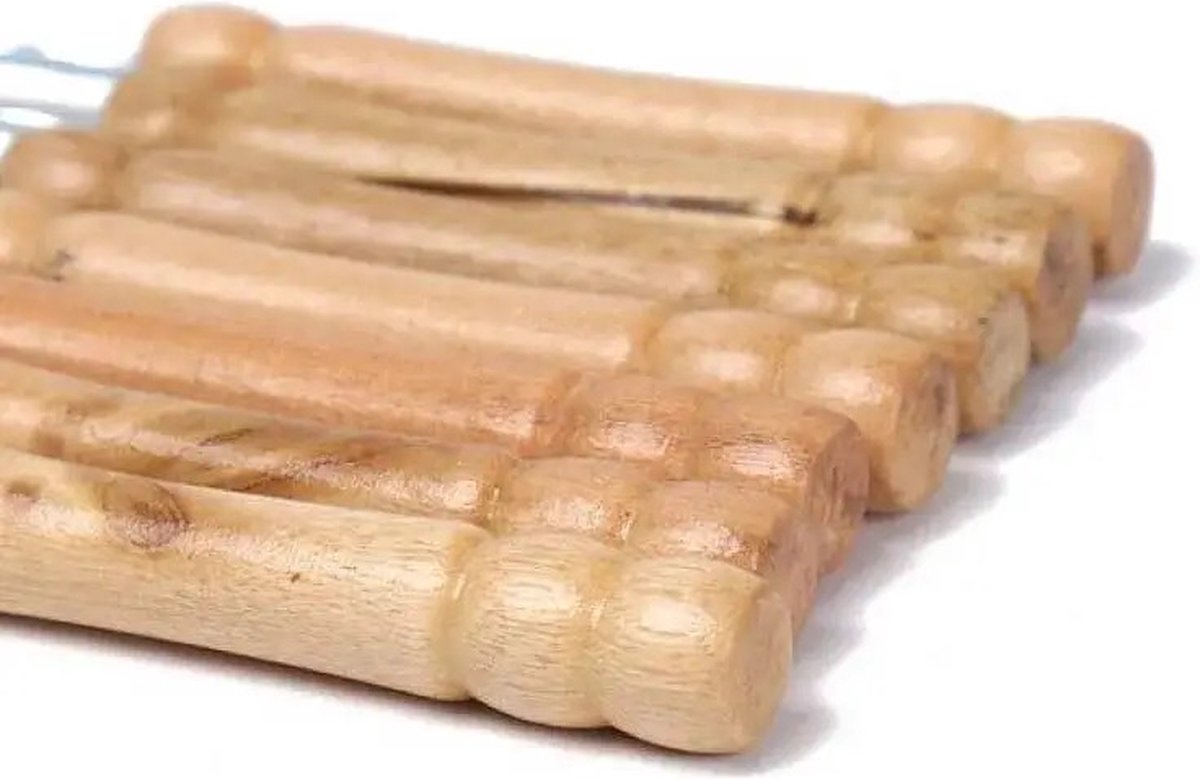 Metalen BBQ Spiezen - BBQ Accesoires - Houten handvat - 10 STUKS - 31