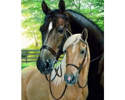 Diamond Painting Knuffelende Paarden - 20x15cm - Ronde Diamantjes - Complete Set - Inclusief Tools - Stipco