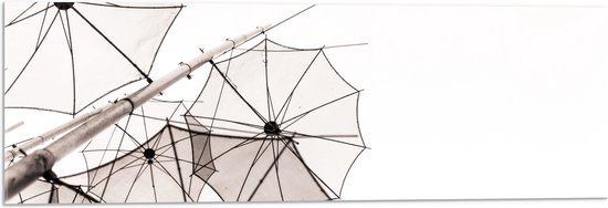 Acrylglas - Doorzichtige Paraplu Vormen tegen Witte Achtergrond - 90x30 cm Foto op Acrylglas (Met Ophangsysteem)