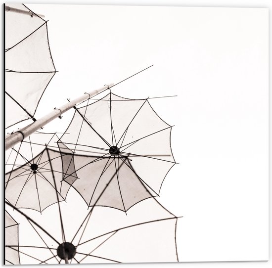 Dibond - Doorzichtige Paraplu Vormen tegen Witte Achtergrond - 50x50 cm Foto op Aluminium (Wanddecoratie van metaal)