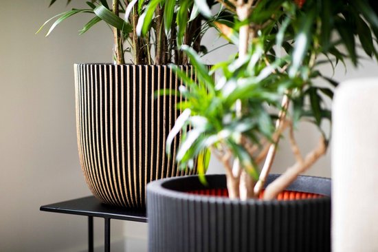 Capi Europe - Bloempot bol Groove NL - 35x34 - Goud - Opening Ø29 - Bloempot voor binnen en buiten - Levenslang garantie - Breukbestendig - 100% Recyclebaar - CO2 Neutraal geproduceerd - KGVGB932