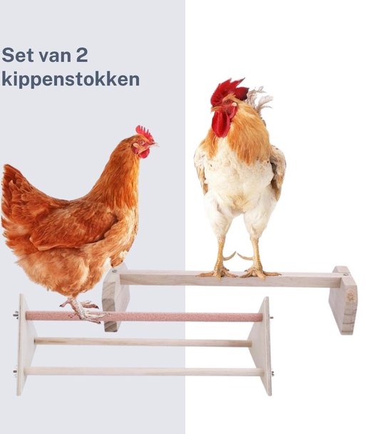 verkoopplan Omdat Verslaving Zitstok kip - Kippenhok - Kippenhok met ren - zitstokken vogels - Kippen  stok voor in... | bol.com