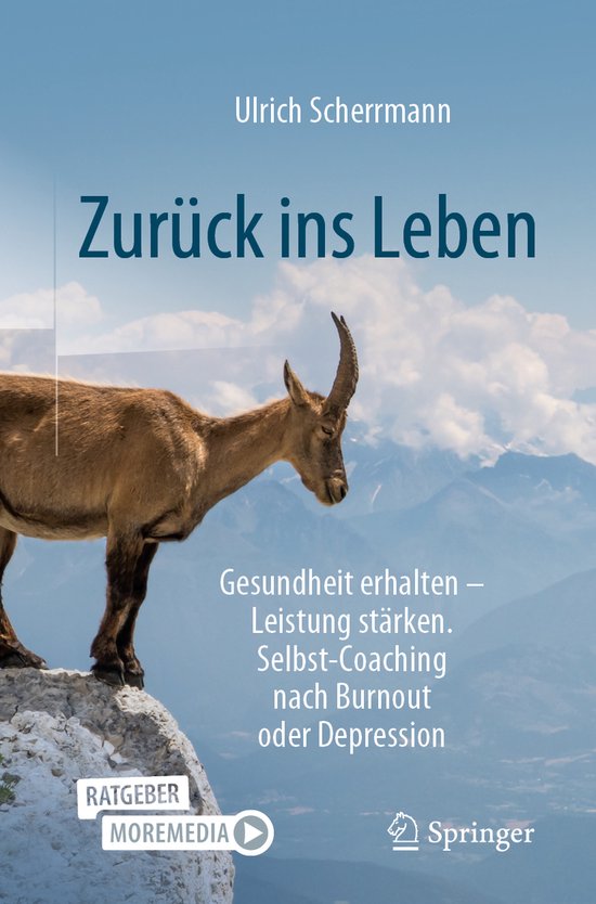Zurück ins Leben, Ulrich Scherrmann 9783658396466 Boeken bol