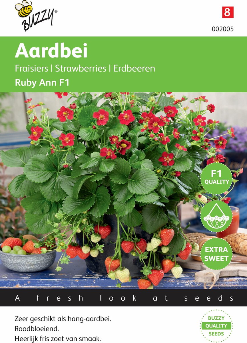 Buzzy® Hangaardbei Ruby Ann F1 roodbloeiend