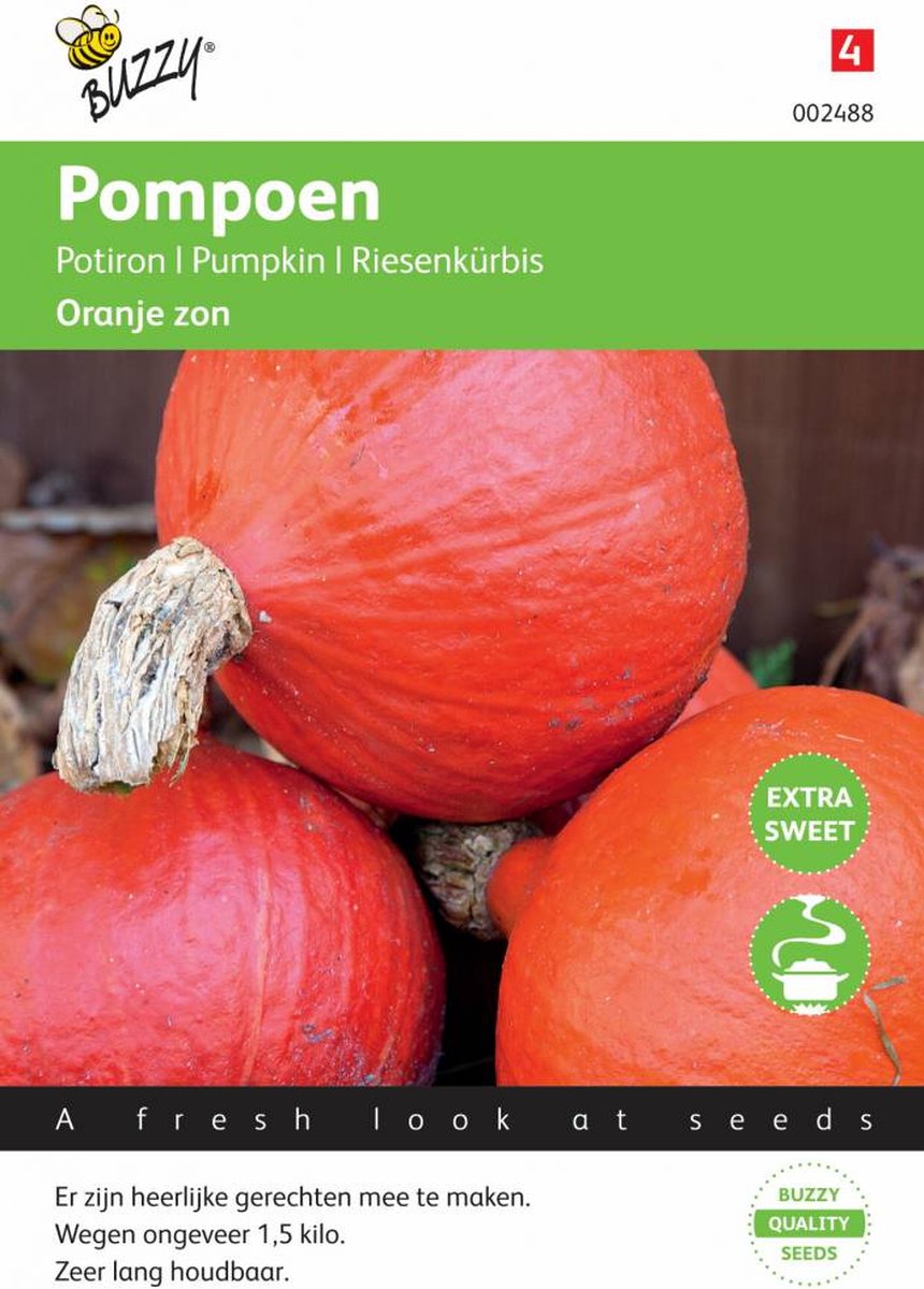 Pompoenen Uchiki Kuri