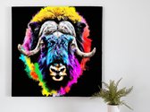 Exploding muskox in color | Exploding Muskox in Color | Kunst - 60x60 centimeter op Canvas | Foto op Canvas - wanddecoratie schilderij