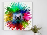 Porcupine rainbow explosion | Porcupine Rainbow Explosion | Kunst - 40x40 centimeter op Canvas | Foto op Canvas