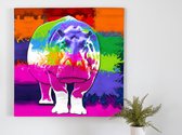 Rainbow splatter hippo | Rainbow Splatter Hippo | Kunst - 80x80 centimeter op Dibond | Foto op Dibond