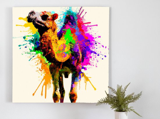 Rainbow Burst Camel kunst - 30x30 centimeter op Canvas | Foto op Canvas - wanddecoratie