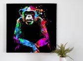 Vibrant rainbow chimpanzee | Vibrant Rainbow Chimpanzee | Kunst - 60x60 centimeter op Canvas | Foto op Canvas