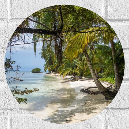 WallClassics - Muursticker Cirkel - Natuurgebied in Panama, Amerika - 30x30 cm Foto op Muursticker