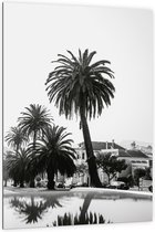 WallClassics - Dibond - Palmbomen in Amerikaanse Buurt (Zwart- wit) - 100x150 cm Foto op Aluminium (Met Ophangsysteem)