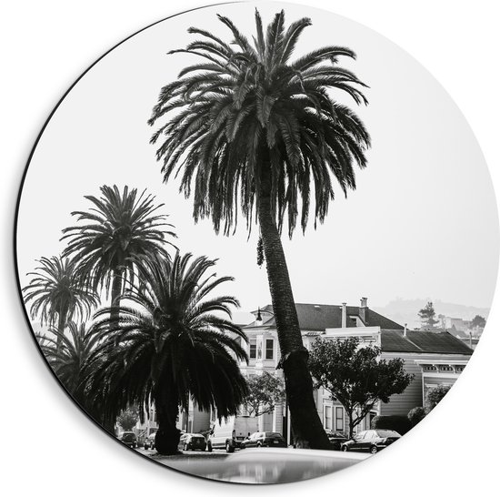 WallClassics - Dibond Muurcirkel - Palmbomen in Amerikaanse Buurt (Zwart- wit) - 40x40 cm Foto op Aluminium Muurcirkel (met ophangsysteem)