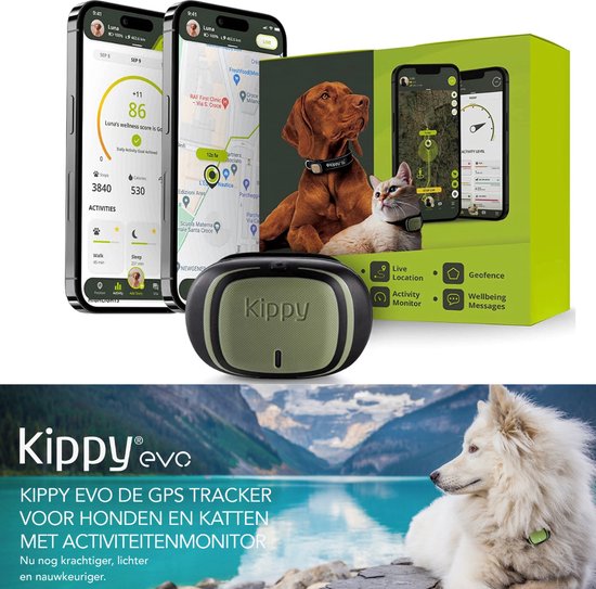 Invoxia - Pet Tracker - Mini Traceur pour Chat et Chien - Suivi d