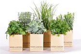 6 stuks - Kruidenmix - kunstplanten - in pot klein - 15-20 cm - 6 plantjes