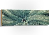 WallClassics - Hout - Bovenaanzicht van Groene Palmboom - 90x30 cm - 9 mm dik - Foto op Hout (Met Ophangsysteem)