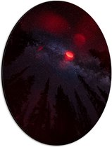 WallClassics - Dibond Ovaal - Rood Licht met Sterrenhemel boven Donkere Hoge Bomen - 30x40 cm Foto op Ovaal (Met Ophangsysteem)
