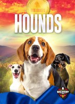 Dog Groups - Hounds