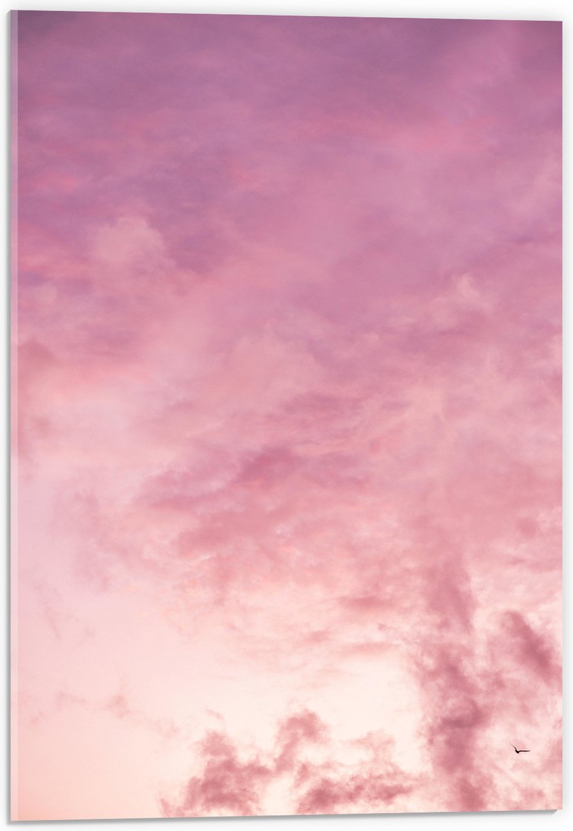 Acrylglas - Zachtroze Lucht met Sluierbewolking - 40x60 cm Foto op Acrylglas (Wanddecoratie op Acrylaat)