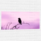 Muursticker - Silhouet van een Klein Vogeltje tegen Paarskleurige Lucht - 100x50 cm Foto op Muursticker