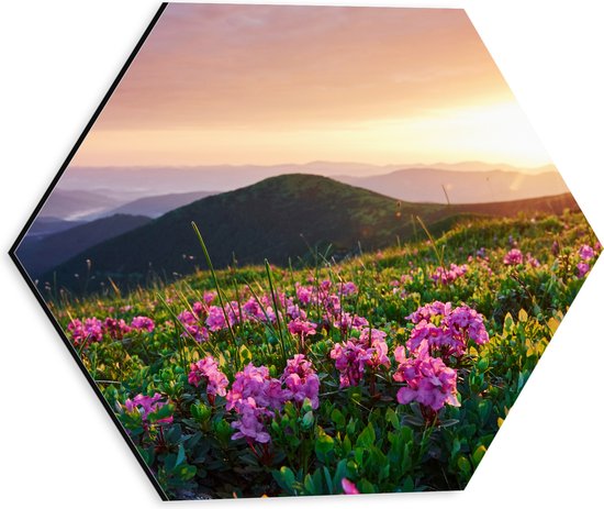 Dibond Hexagon - Roze Bloemen op de Bergen van Landschap tijdens Zonsopkomst - 30x26.1 cm Foto op Hexagon (Met Ophangsysteem)