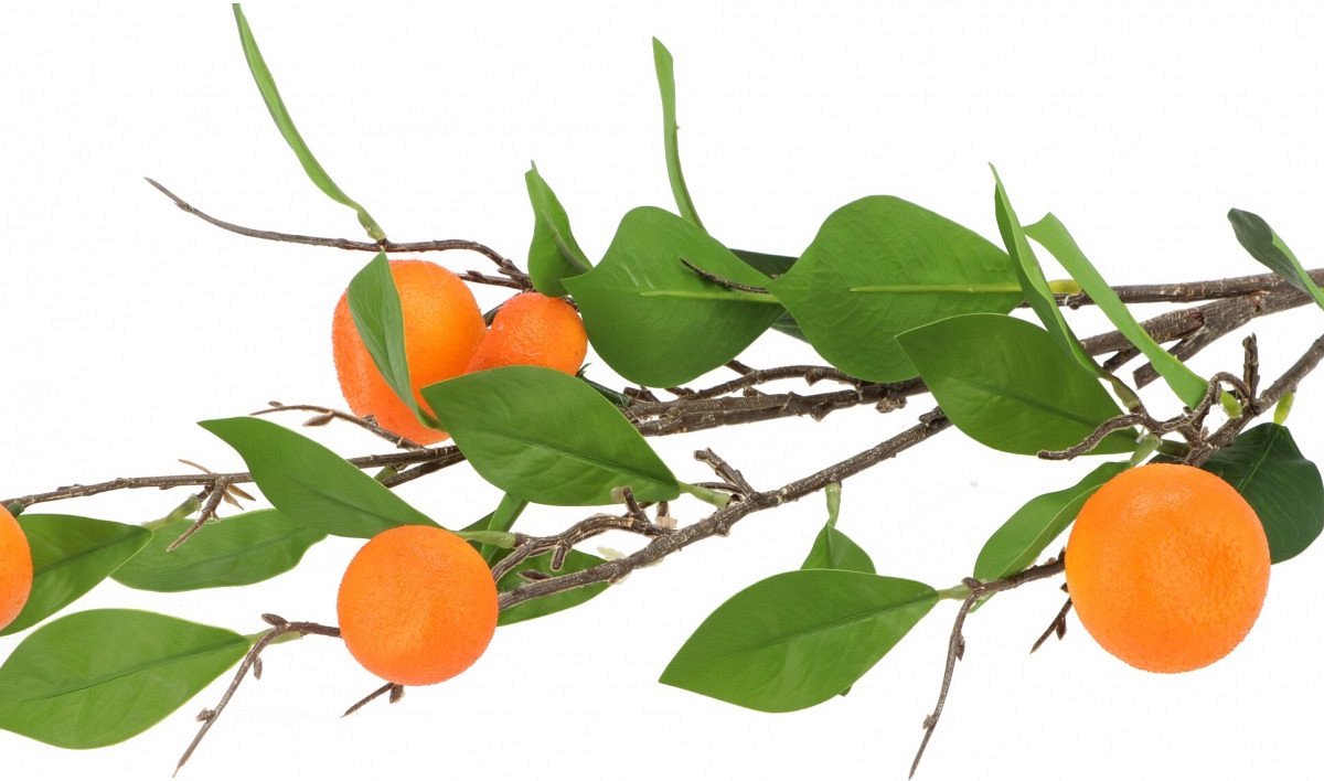 Mandarijn Tak - Fruittakken - zijden Kunstbloemen - 80 cm - Natuurlijk