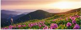 Poster (Mat) - Roze Bloemen op de Bergen van Landschap tijdens Zonsopkomst - 90x30 cm Foto op Posterpapier met een Matte look