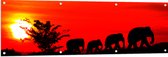 Tuinposter – Silhouet van Familie Olifanten Lopend over Afrikaans Landschap - 150x50 cm Foto op Tuinposter (wanddecoratie voor buiten en binnen)