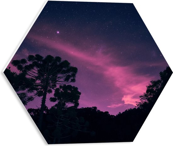 PVC Schuimplaat Hexagon - Paars Gekleurde Lucht boven Silhouet van Bomen - 40x34.8 cm Foto op Hexagon (Met Ophangsysteem)