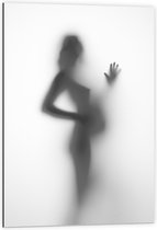 Dibond - Silhouet van Zwanger Vrouwenlichaam achter Wazige Wand - 60x90 cm Foto op Aluminium (Met Ophangsysteem)