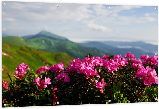 Tuinposter – Roze Bloemenstruik met Uitzicht over Berggebied - 150x100 cm Foto op Tuinposter (wanddecoratie voor buiten en binnen)