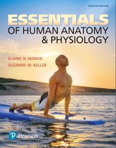 Test Bank For Essentials of Human Anatomy & Physiology 12th Edition By Marieb||All Chapters||ISBN NO:9780134395326||Complete Guide A+||Latest Update 2024.