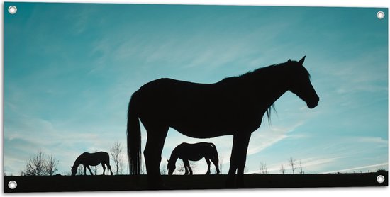 Tuinposter – Silhouet van Paarden in het Weiland onder Lichtblauwe Lucht - 100x50 cm Foto op Tuinposter (wanddecoratie voor buiten en binnen)