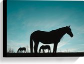 Canvas - Silhouet van Paarden in het Weiland onder Lichtblauwe Lucht - 40x30 cm Foto op Canvas Schilderij (Wanddecoratie op Canvas)