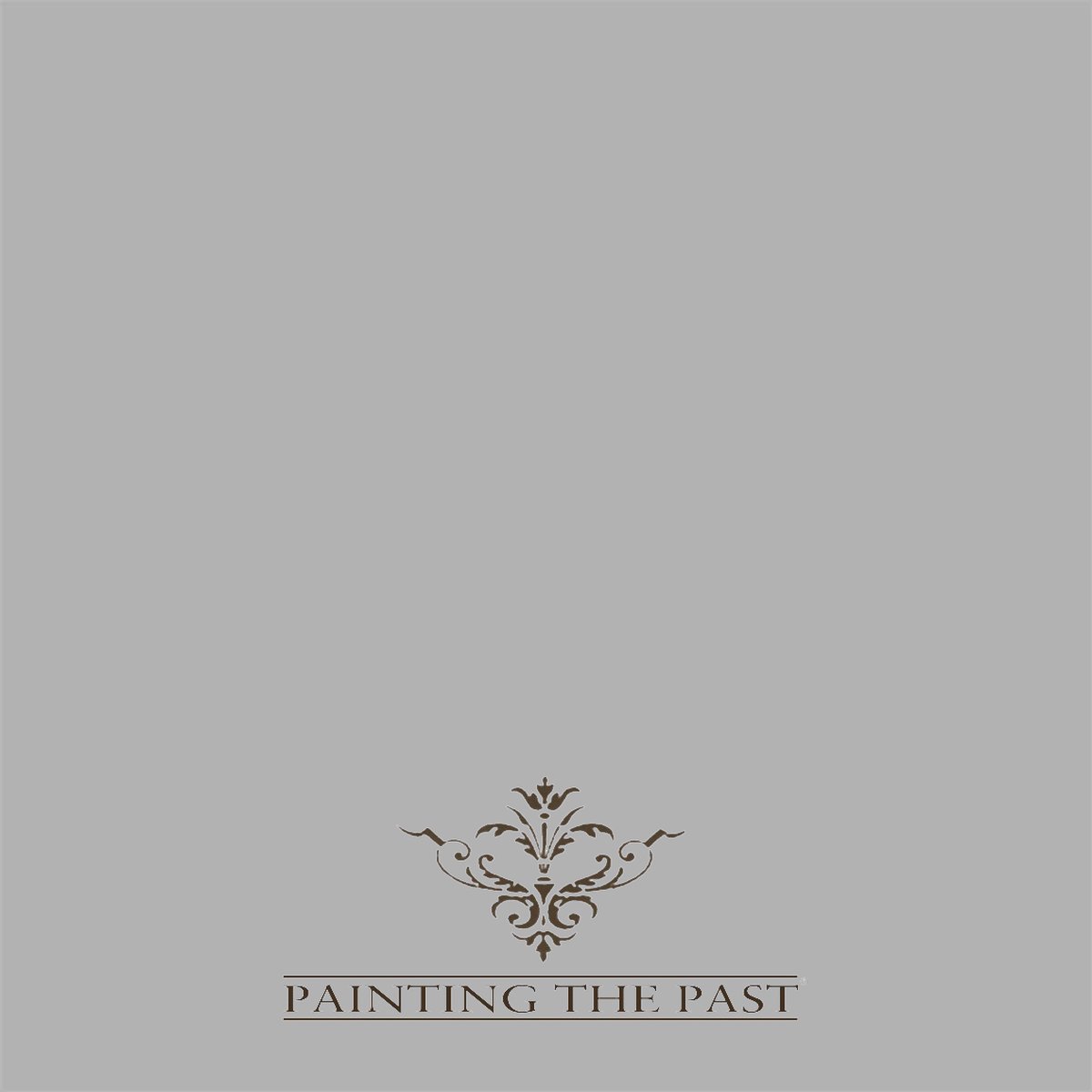 Painting The Past Proefpotje - Cape Cod Grey - 60 ml - Kleurtester - Verf Tester
